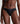 Modern Lace - Coordinate Brief - UB1 BLACK