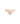 Sensual Stretch Lace - Bikini - 7NS CEDAR
