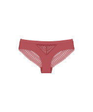 Triumph - Aura Spotlight T Brazil Trusse