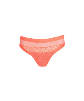 PrimaDonna - Sophora Rio Briefs
