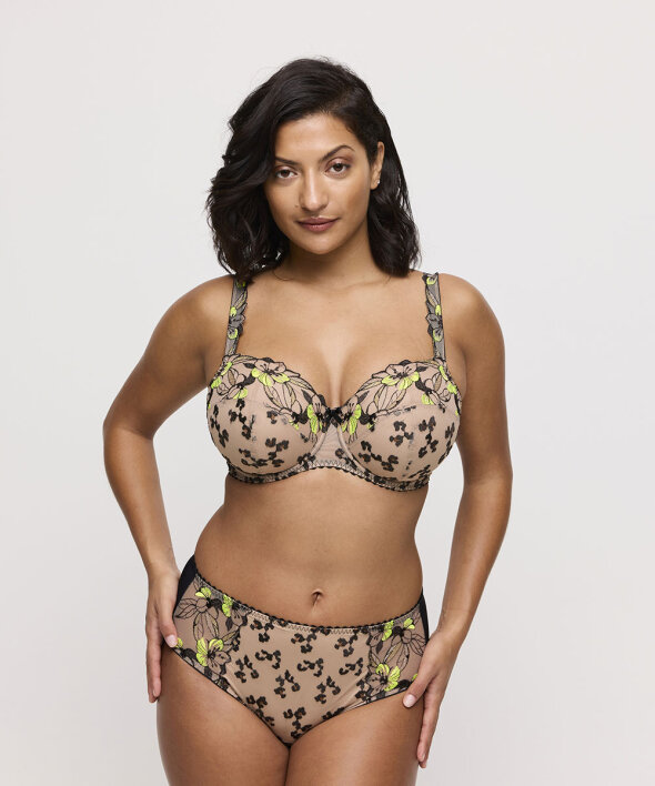 PrimaDonna - Manali Full Briefs