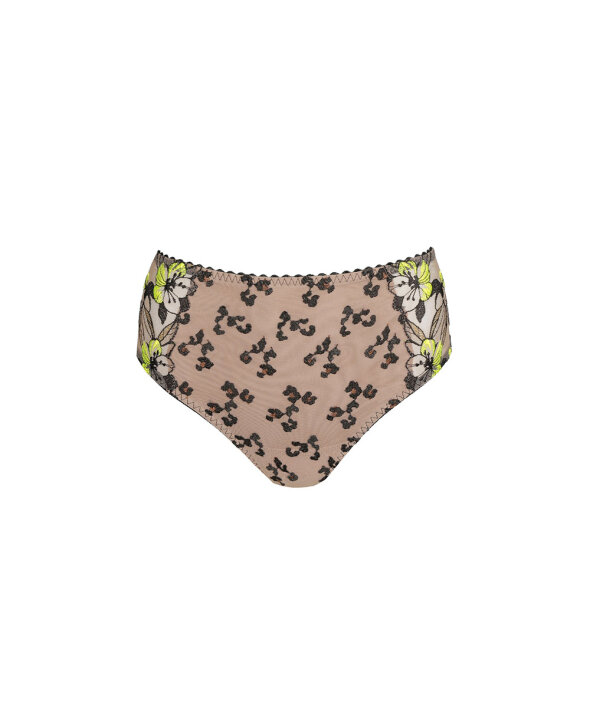 PrimaDonna - Manali Full Briefs