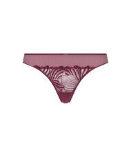 Chantelle - Legend Tanga
