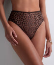 Aubade - Crazy In Love Very High Brief