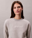 Calvin Klein - Cotton Blend Terry Po Sweatshirt