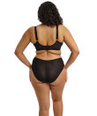 Elomi - Reja Brief