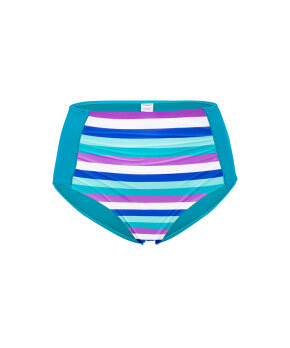 Wiki - Bikini Bottoms Swim Midi Shape