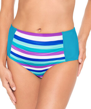 Wiki - Bikini Bottoms Swim Midi Shape