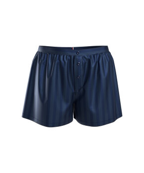 Tommy Hilfiger - Global Stripe Shorts