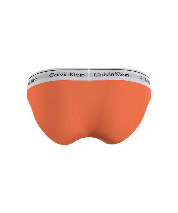 Calvin Klein - Modern Ctn Holiday Coordinate Brief