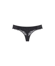 Triumph - Amourette String Triumph - Amourette String